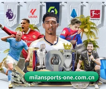 米兰体育首页 APP | MilanSports